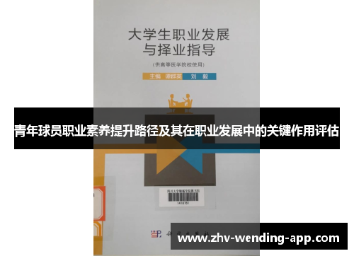 青年球员职业素养提升路径及其在职业发展中的关键作用评估